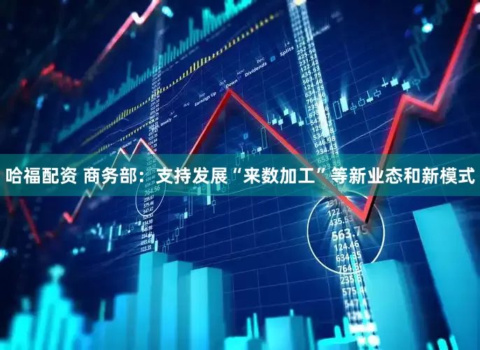 哈福配资 商务部：支持发展“来数加工”等新业态和新模式