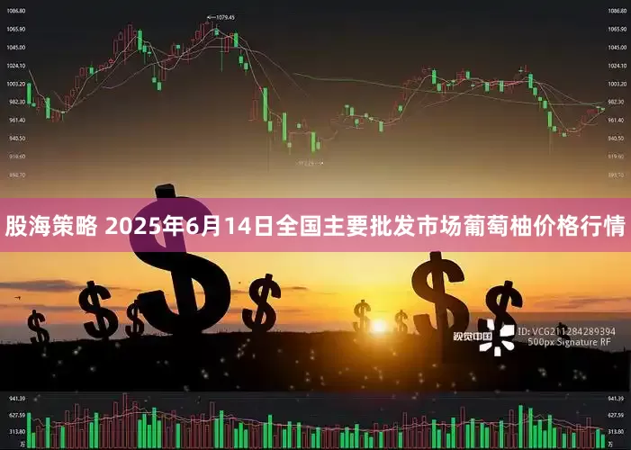 股海策略 2025年6月14日全国主要批发市场葡萄柚价格行情